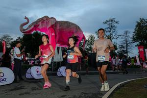 BIB: 
                            <button type="button" onclick="openModal(26529589)" class="btn btn-primary btn-sm float-right btn-popup" data-toggle="modal" data-target=".modal-high-quality">
                        <i class="fas fa-shopping-cart"></i> Add to Cart
                    </button>
                                            <button type="button" onclick="isThisMe(26529589, true)" class="btn btn-success btn-sm float-right btn-popup btn-isme hidden" data-toggle="tooltip" data-placement="bottom" title="นี่คือรูปของคุณใช่ไหม คลิกที่นี่เพื่อเอาเข้าอัลบั้ม">
                        <i class="fas fa-plus"></i> Add to album
                    </button>
                    <button type="button" onclick="isThisMe(26529589, false)" class="btn btn-warning btn-sm float-right btn-popup btn-isnotme hidden">
                        <i class="fas fa-ban"></i> Remove from album
                    </button>